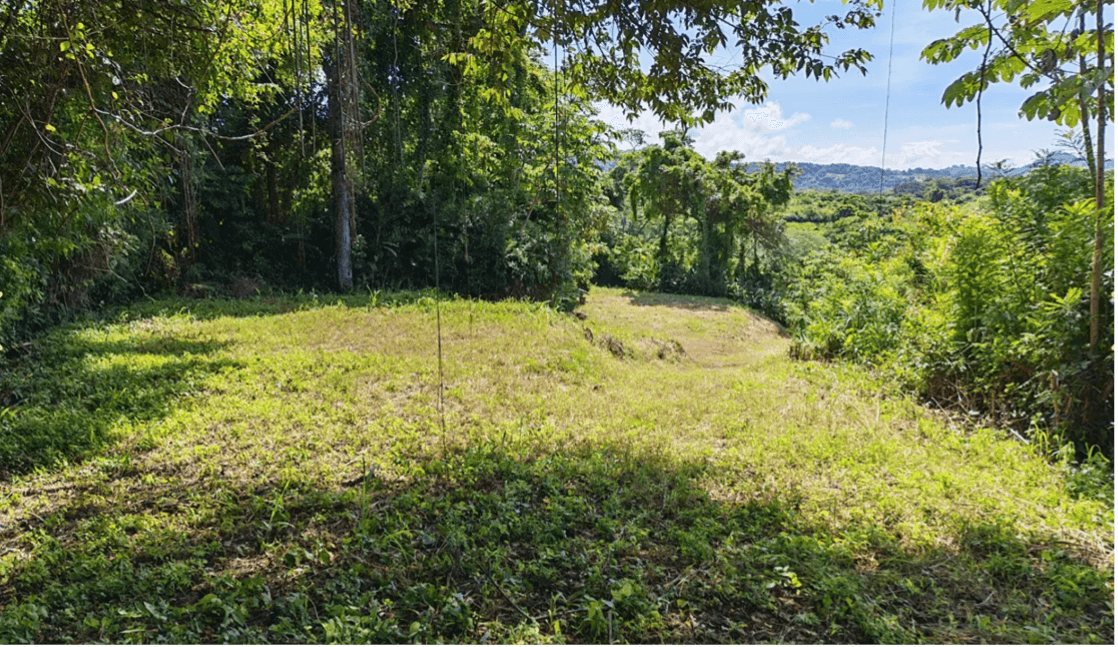Propriété Bosque Torito à vendre, à Sámara, au Costa Rica Propriété Bosque Torito à vendre, à Sámara, au Costa Rica