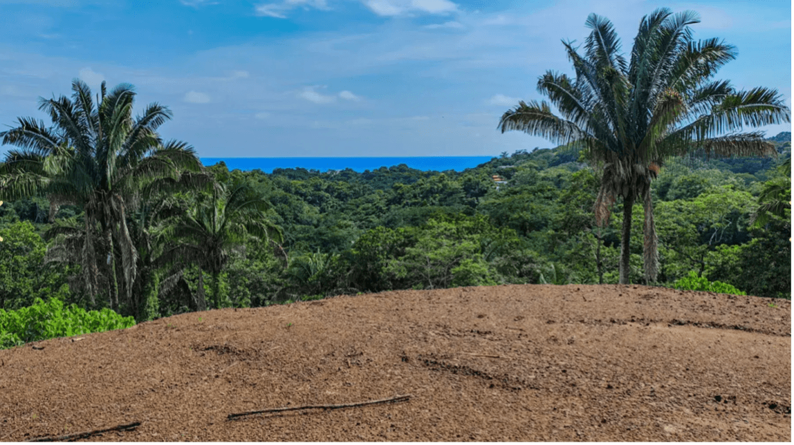 Lot n° 2 du projet Matambú à vendre, à Sámara, au Costa Rica Lot n° 2 du projet Matambú à vendre, à Sámara, au Costa Rica