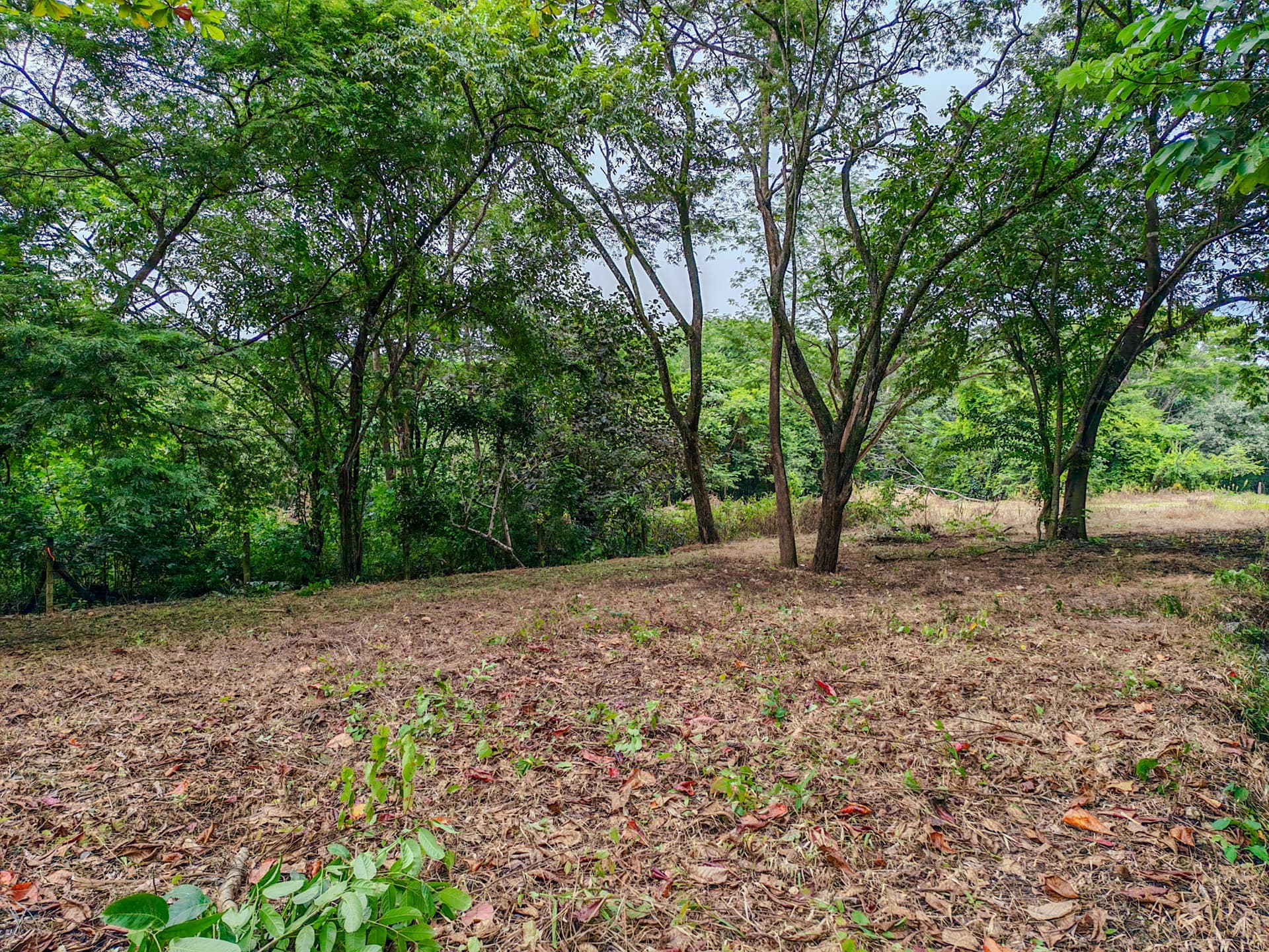 Terrain prêt à construire propriété prête à construire Guanacaste