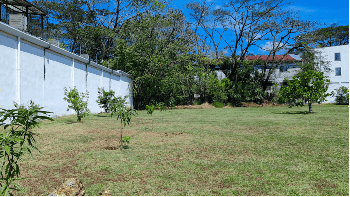Environs de la propriété zone résidentielle samara costa rica condo