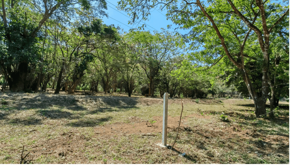 Lot 2 Samara Espace ouvert constructible terrain ouvert constructible espace lot 2 samara près de la plage
