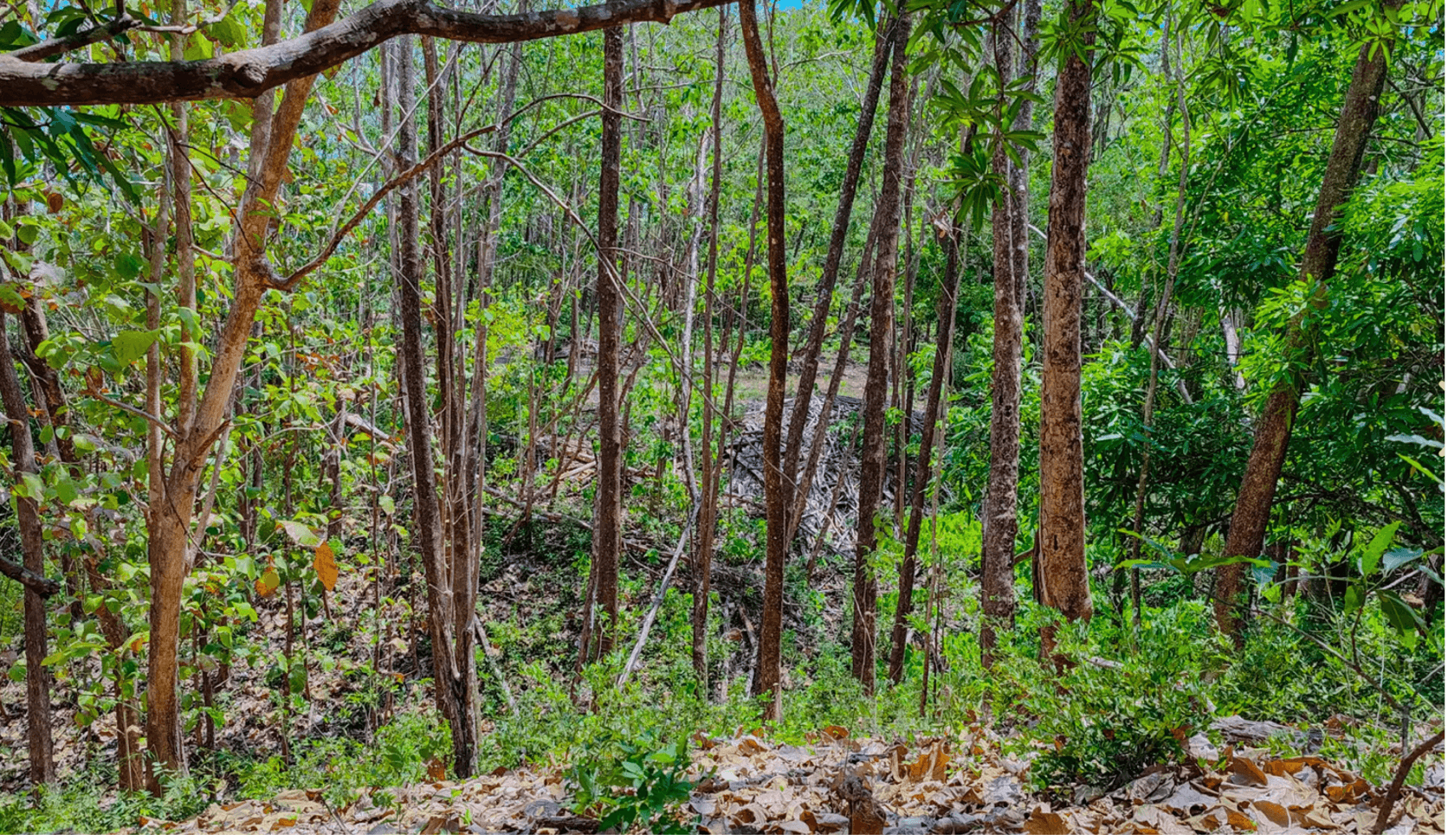 Propriété Montaña Verde, à vendre à Sámara, au Costa Rica Propriété Montaña Verde, à vendre à Sámara, au Costa Rica