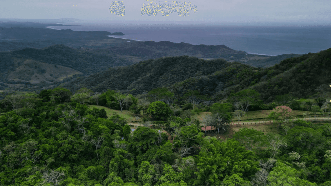 Zone élevée avec vue sur l'océan finca surélevée avec vue sur l'océan costa rica