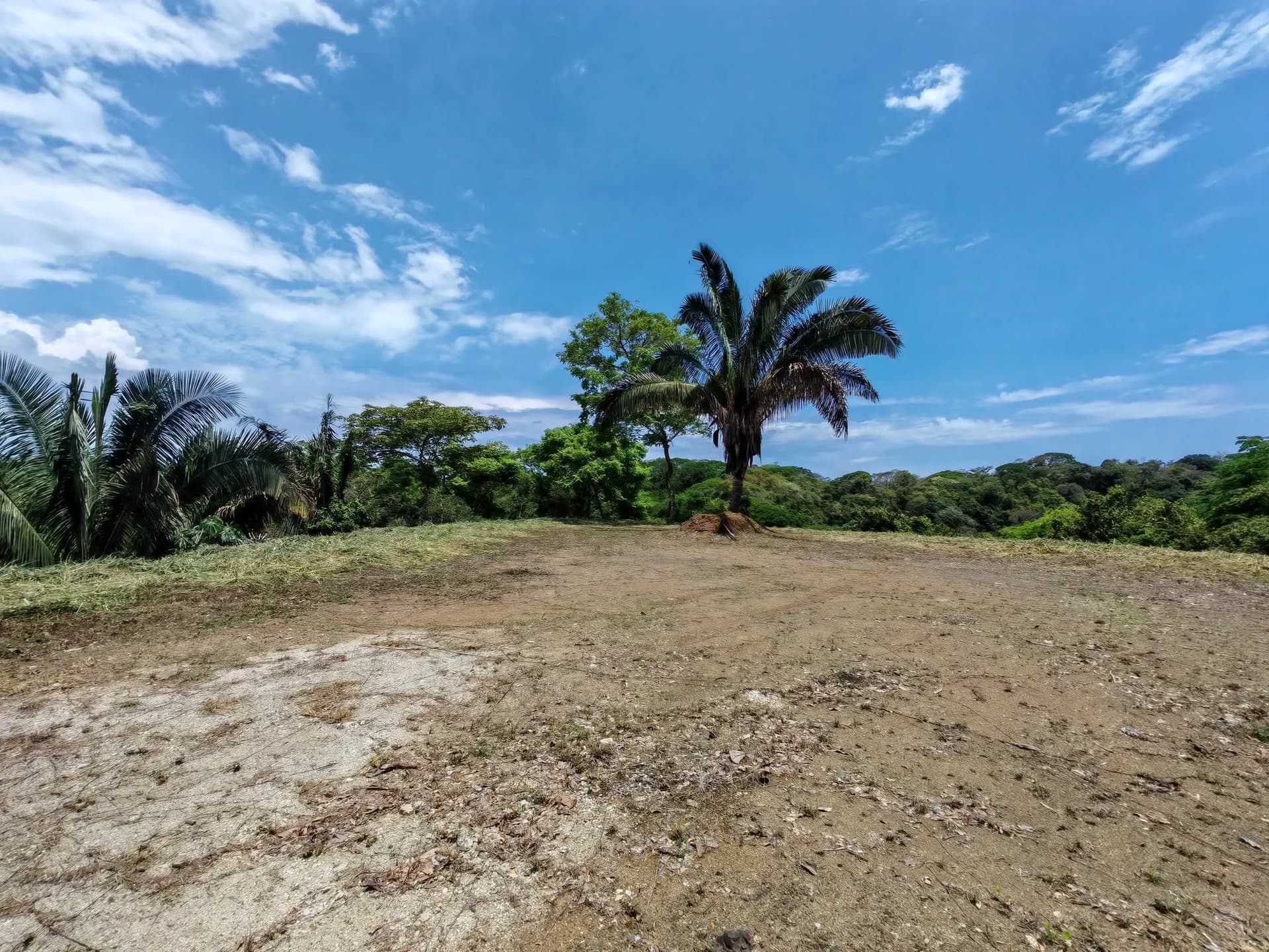 sur Plateforme constructible plateforme plate et constructible Monkey lot 8 Costa Rica
