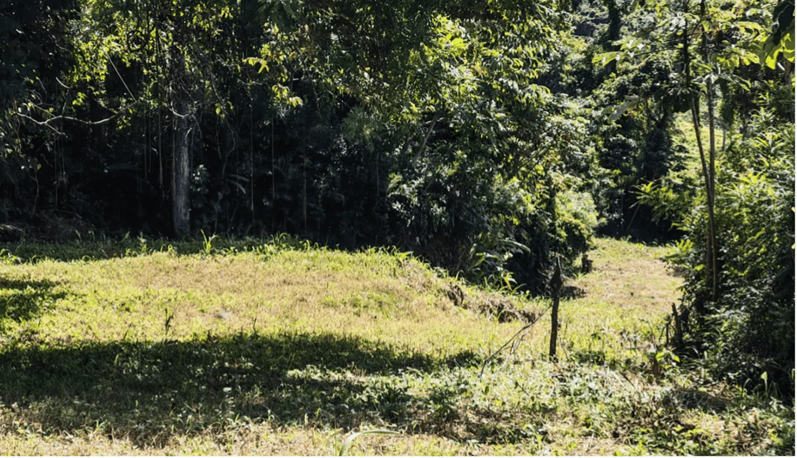 Propriété Bosque Torito à vendre, à Sámara, au Costa Rica Propriété Bosque Torito à vendre, à Sámara, au Costa Rica