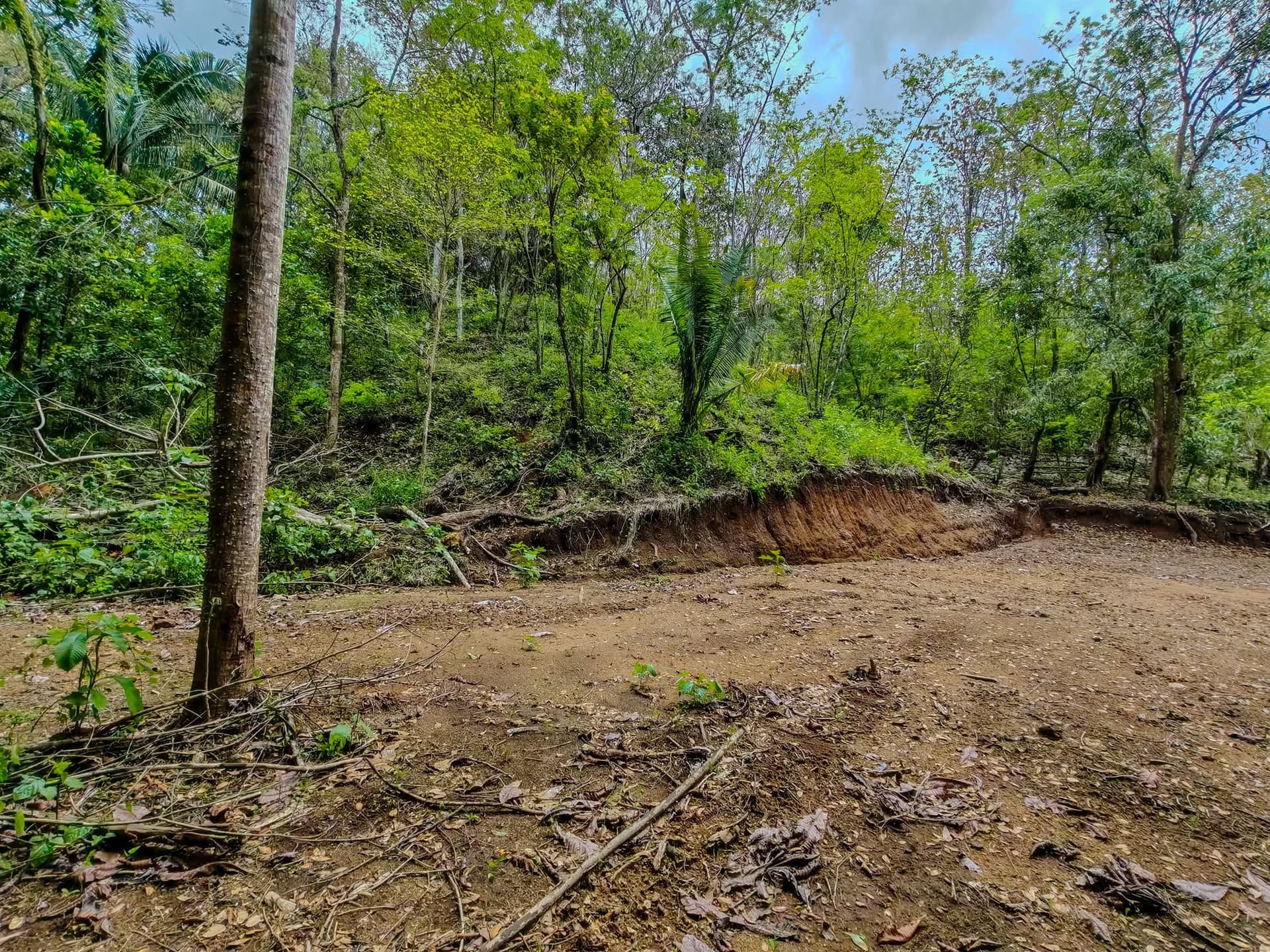 Surface naturelle constructible zone naturelle constructible au sein d’une propriété tropicale au costa rica