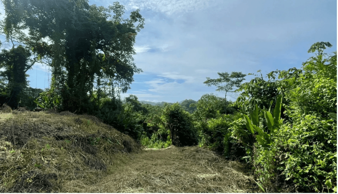 Propriété Bosque Torito à vendre, à Sámara, au Costa Rica Propriété Bosque Torito à vendre, à Sámara, au Costa Rica