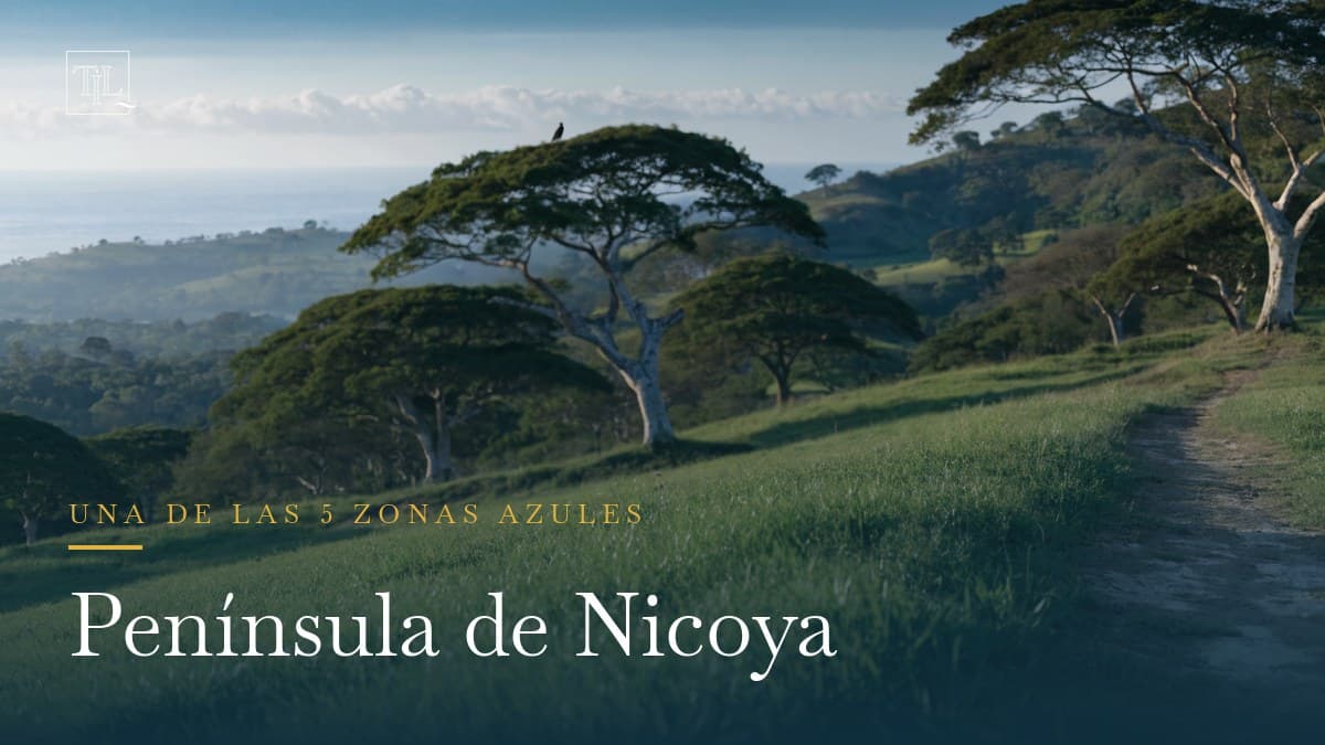 Península de Nicoya: vivir (mucho) y comprar en una zona azul